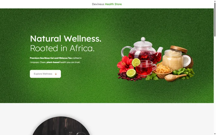 A website built on the R500 plan